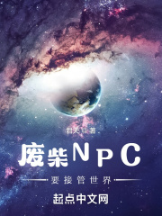  废柴NPC要接管世界