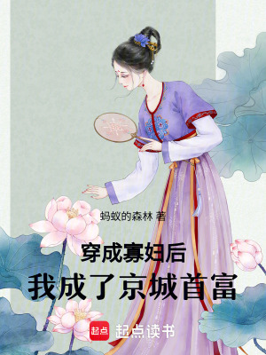  穿成寡妇后，我成了京城首富